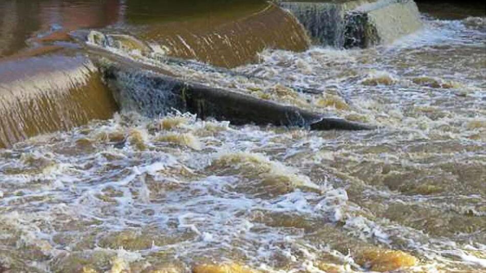 Wehr am Fluss Cleddau in Südwestwales