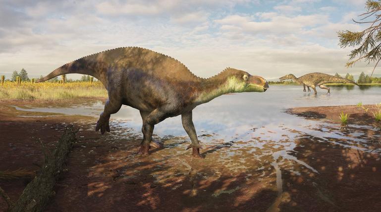 Dinosaurier im Sumpf