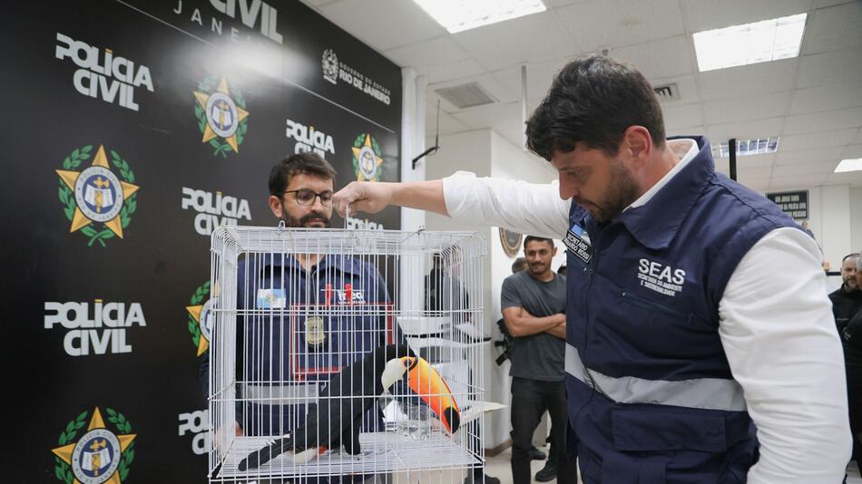 Grosser Schlag gegen den illegalen Tierhandel in Brasilien