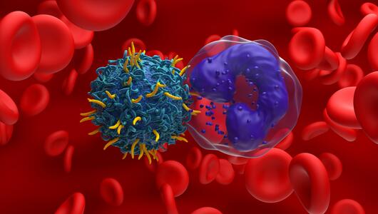 CAR-T-Zellen, Blutkrebs, Immuntherapie, Behandlung, Forschung