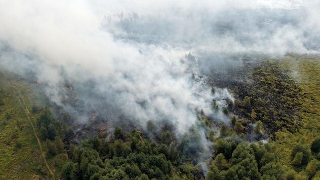 Waldbrand im Hohen Venn