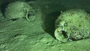 Wein für die Ewigkeit: Taucher entdecken 2.400 Jahre altes Wrack mit 300 Amphoren