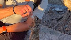 Durstiger Gipfelbesucher: Wanderer gibt Eichhörnchen Wasser