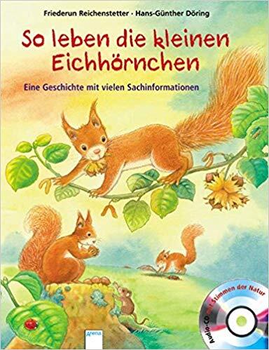 eichhörnchen, winter, winterruhe, garten, kobel, überwintern, tipps