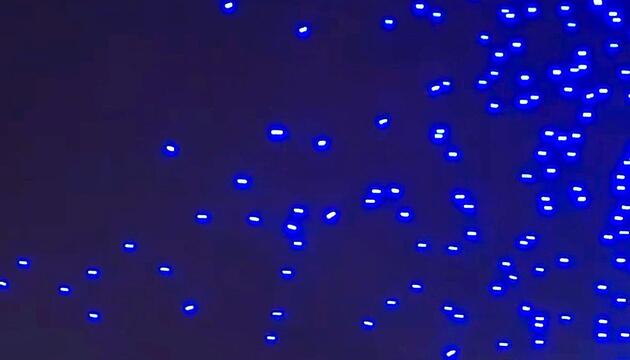 Lichtshow-Chaos: 89 Drohnen stürzen beim Vivid Festival in Sydneys Hafen