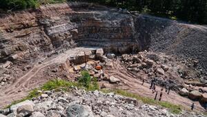 Unterkiefer eines 230 Millionen Jahren alten Sauriers entdeckt