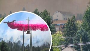 Tausende fliehen vor Feuer: Waldbrand wütet in Washington