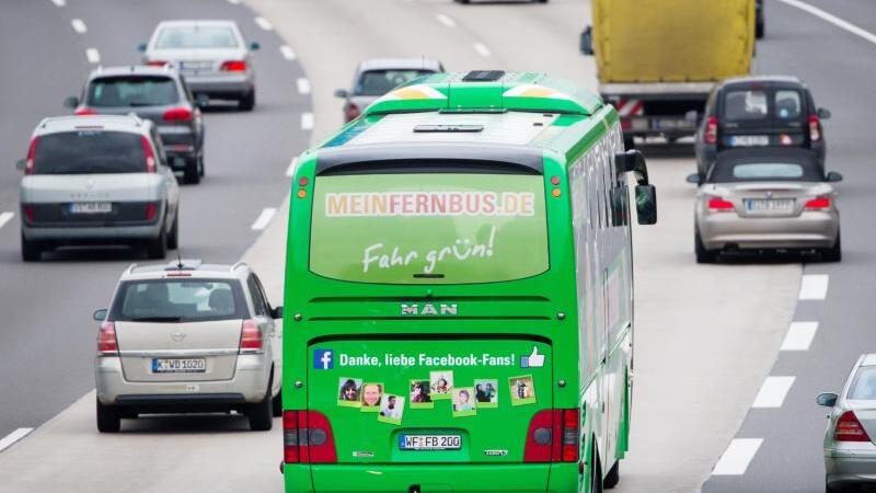 Der grüne Riese