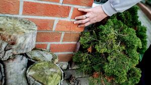 Eine Person überprüft eine Hausfassade