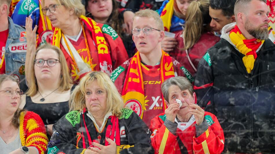 Düsseldorfer EG - Grizzlys Wolfsburg