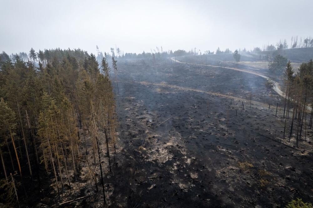 Waldbrand in Thüringen