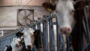 Trockenheit in der Landwirtschaft