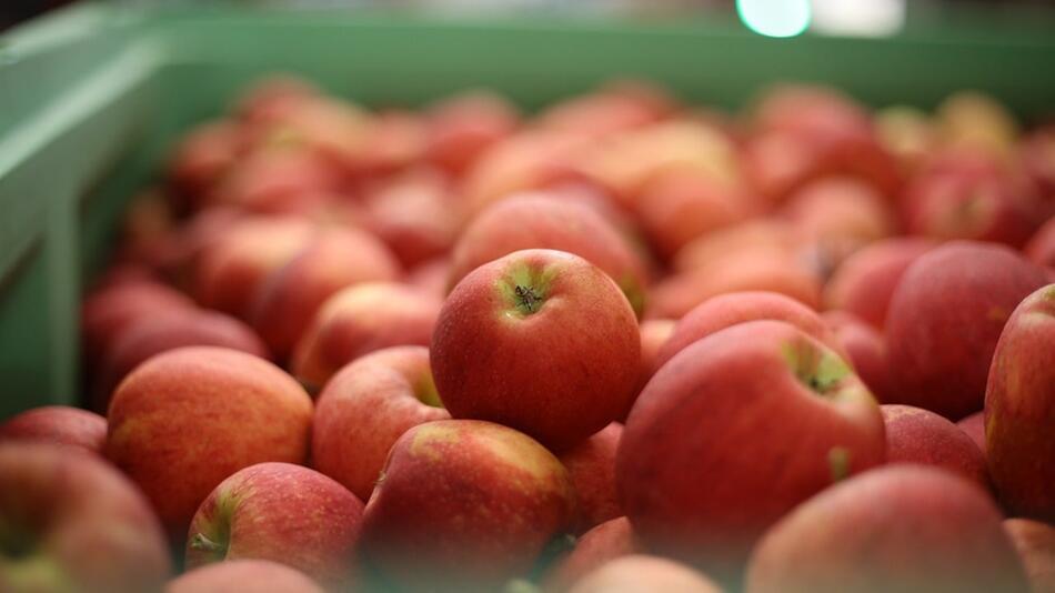 äpfel