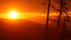 Sonnenuntergang im Harz