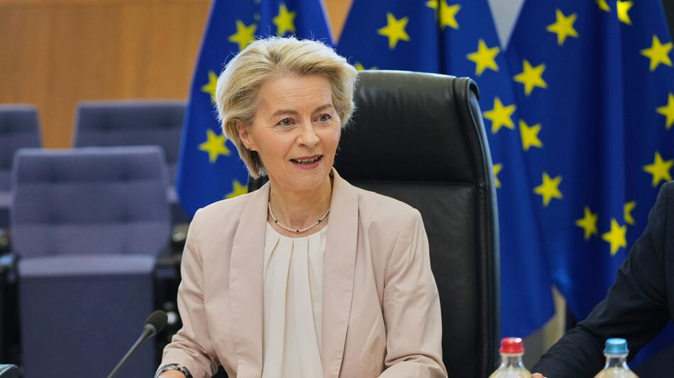 Automobilchefs treffen von der Leyen
