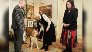 Königin Camilla verwöhnt Hund Freddy mit ausgiebigen Streicheleinheiten.