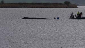 Lindernde Umstände für Wal: Einsatzkräfte benetzen Tier mit Wasser