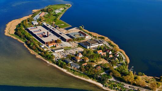 Insel, Palmen, Urlaub, Gefahr, giftig, Schlange, Idylle, Radioaktivität, Naturkatastrophe