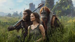 "Planet der Affen: New Kingdom": Die Menschenfrau Noa (Freya Allan) kämpft gemeinsam mit dem ...