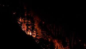 Waldbrand am Gardasee: Mehr als 200 Menschen evakuiert