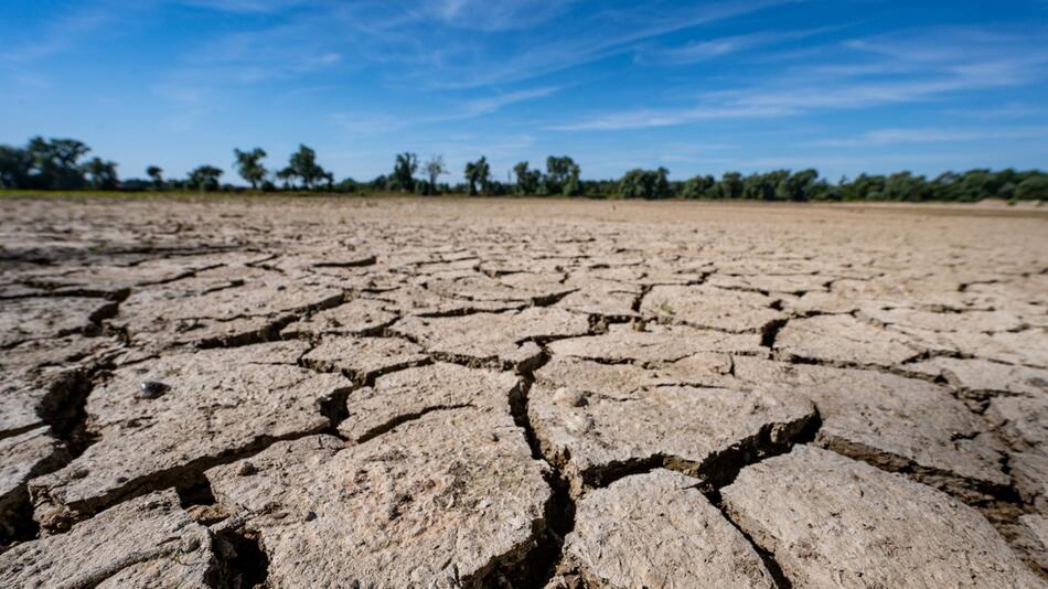 Klimawandel