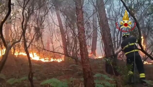 Waldbrand in der Toskana