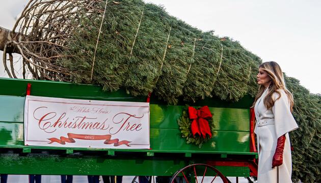 Ankunft des Weihnachtsbaums im Weissen Haus