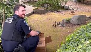 Kükenrettung in Redmond: Polizisten befreit Entenbabys aus Sturmabfluss