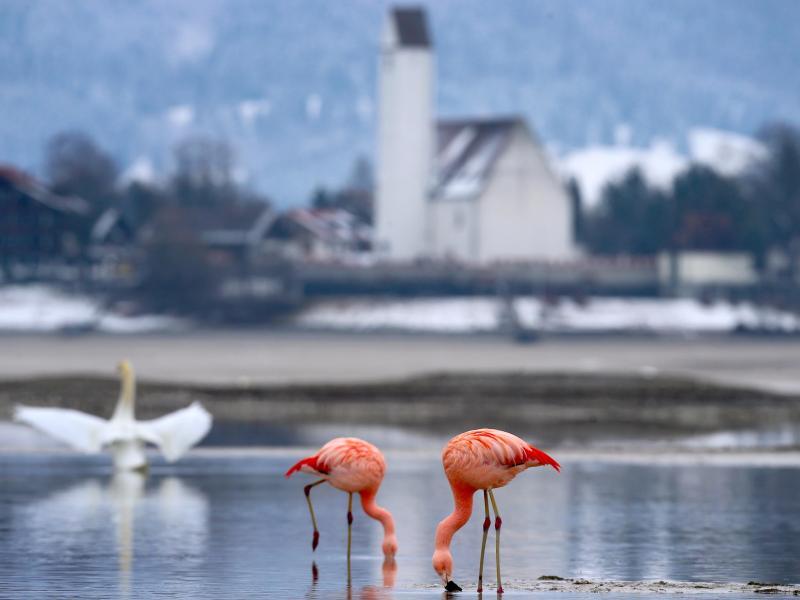 Singletreff tegernsee