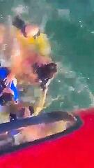 Aggressive Kokain-Haie in der Nähe? Über 70 Paddleboarder gerettet