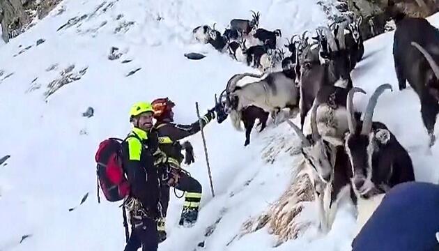 Vom Feuerwehrmann zum Hirten: Tierische Rettungsaktion in 2.500 Metern Höhe
