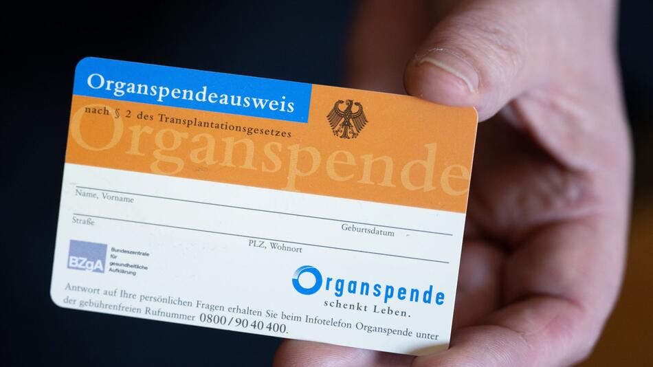 Eine Frau hält einen Organspendeausweis in ihren Händen