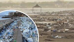 Müllflut nach Wintersturm: Plastik überschwemmt östliche Adria