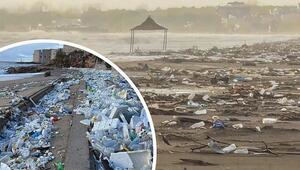 Müllflut nach Wintersturm: Plastik überschwemmt östliche Adria