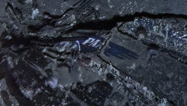 Flugzeugwrack nach 74 Jahren entdeckt