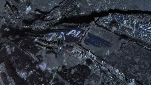 Flugzeugwrack nach 74 Jahren entdeckt