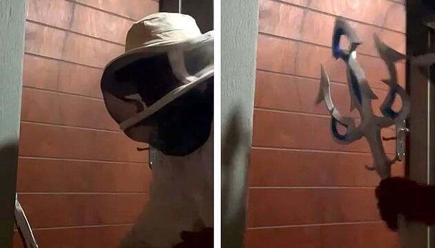 Imker-Anzug und Dreizack: Bewaffneter Mann scheitert kläglich an Fledermaus