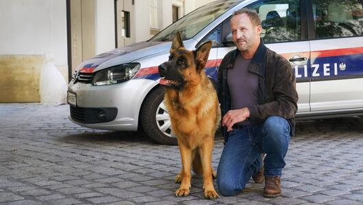 TV-Ausblick Sat.1 - "Kommissar Rex"