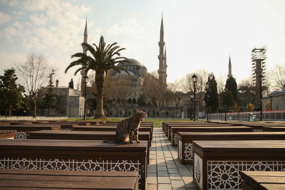 Blaue Moschee in Istanbul (Archivbild)