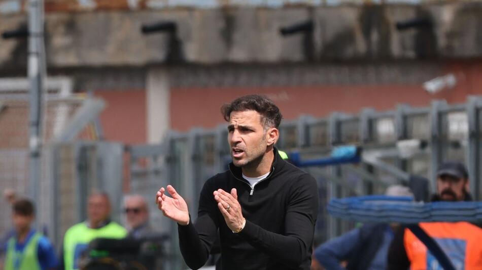 Trainer Fàbregas