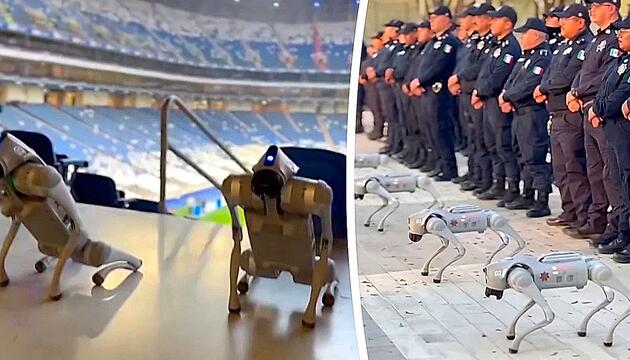 Robo-Dogs: Mexiko setzt bei WM 2026 auf Roboterhunde