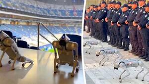 Robo-Dogs: Mexiko setzt bei WM 2026 auf Roboterhunde