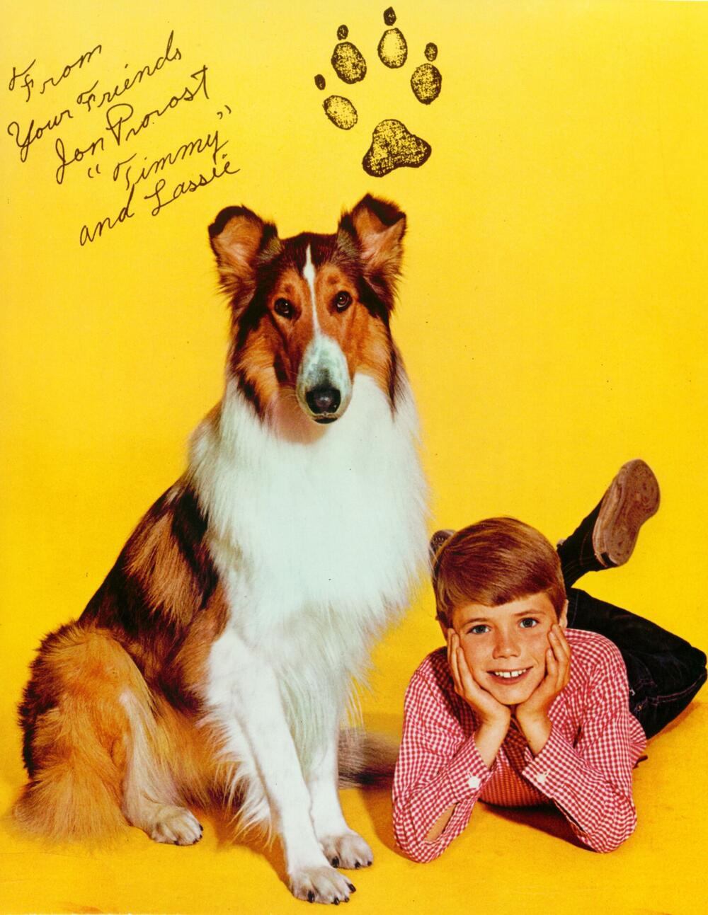 "Lassie"-Kinderstar Jon Provost wird 75