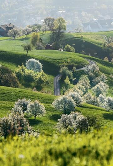 Frühling im Jurapark im Aargau