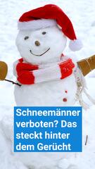 Will die EU Schneemänner verbieten?