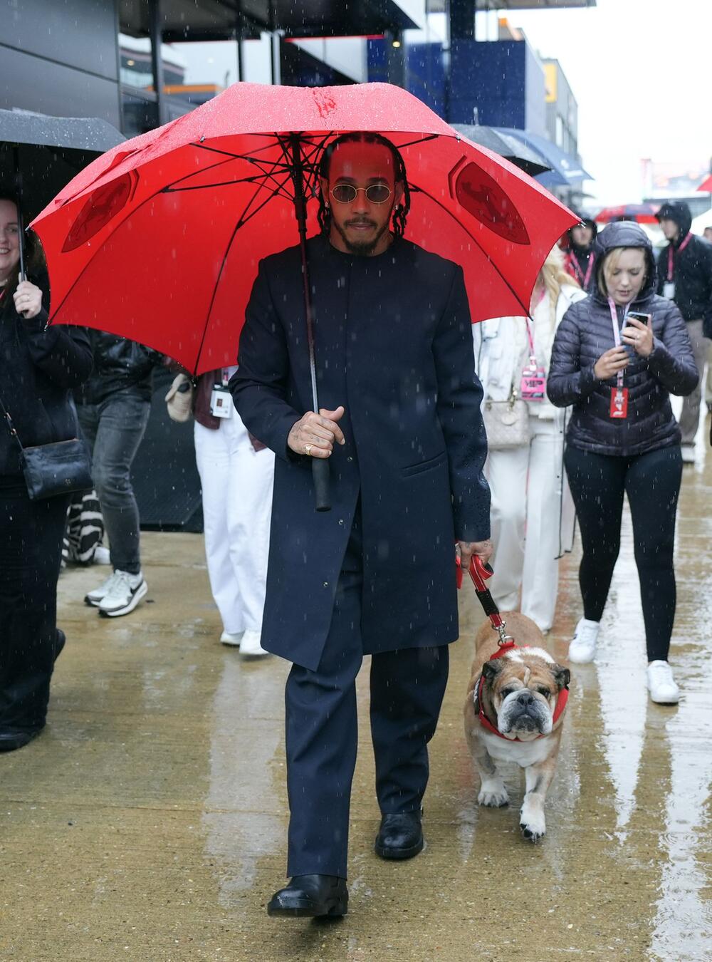 Lewis Hamilton mit Roscoe