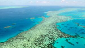 Great Barrier Reef in Australien