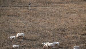 Paris stützt Landwirte nach Dürresommer mit Milliardenhilfe