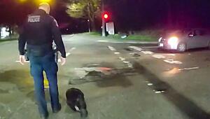 Entschlossener Biber: Polizei kämpft mit sturem Tier auf der Strasse