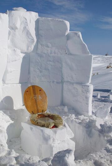 Stille Örtchen, Skurril, Reise